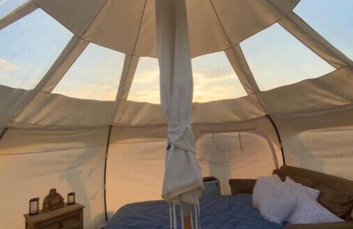 Paige Alquiler De RV | Serene Lotus Belle with salt water jacuzzi!