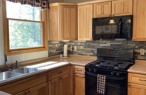 Davis Casa | Serene Pet Friendly Cabin w/ Resort Perks in Heart of WV Hike/Fish/Bike/Ski
