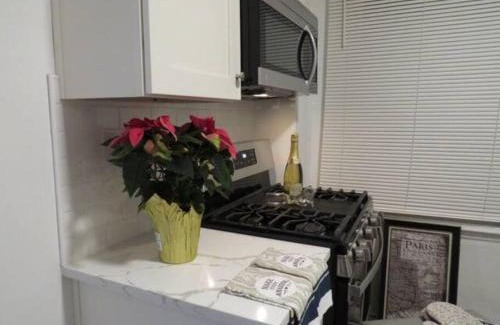 South Oakland Apartamento | Serene Retreat in the Heart of Pittsburgh Oakland