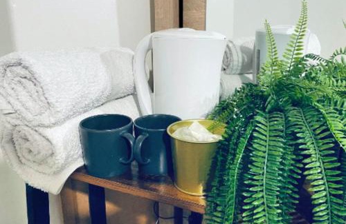 Plaistow South Casa | Serene Room - O2 & Excel Center