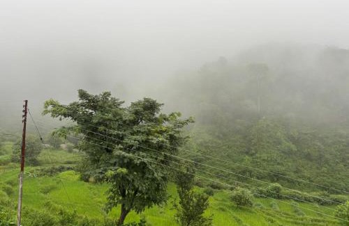 Gunehr Cabina | Serene Stay Baijnath