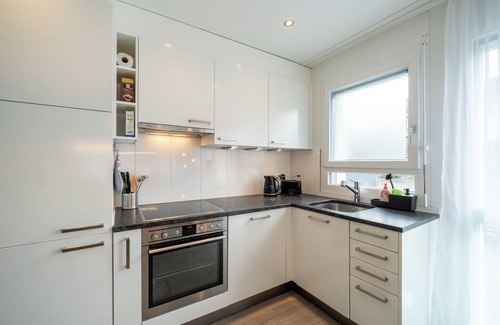 Safenwil Casa | Serene Swiss Apt | scenic balcony views + parking + hi-speed wifi