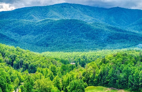 Cosby Casa | Serenity Brook- Pickleball Court, Creek, WIFI, Mountain Views, Starting at 99