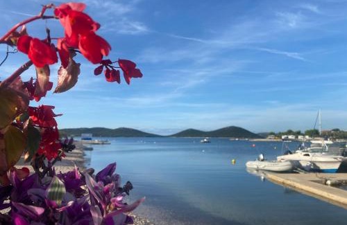 Drage Casa | Serenity house, cozy familly place, free parking, seaside, in Dalmacia, Drage, Kamp Maslina