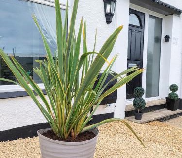 Tatworth Casa | 'Serenity in Somerset ' Self Catering House Rental Near Chard , Accomodation for Contract Workers only