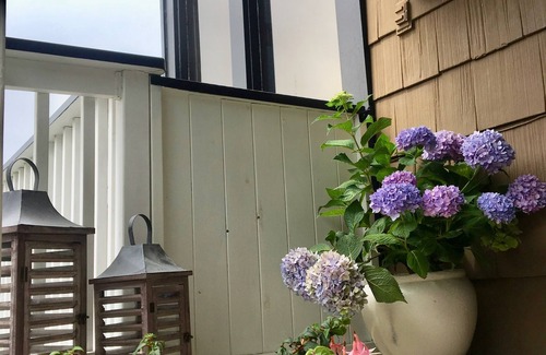 Laguna Beach Apartamento | Serenidad en las colinas de Laguna Beach