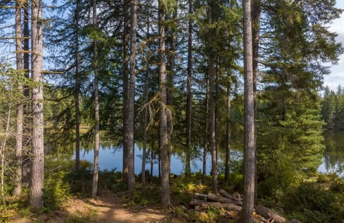 Mason County Casa | Serenity Lake House