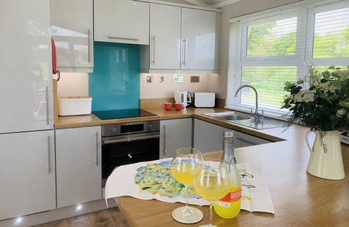 Otterham Apartamento | Serenity Lodge-Vista al campo-Baño con ducha-Lodge