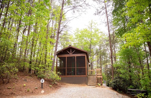 Mill Spring Cabina | Serenity Ridge Cabin F: Couple's Vacay + Hot Tub