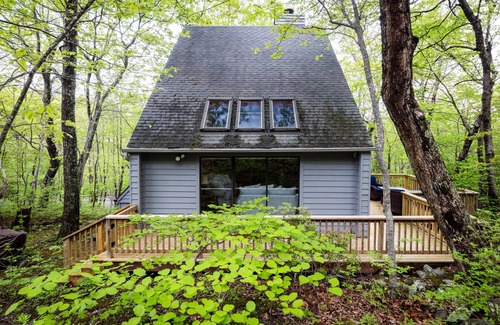 Chestnut Springs Condominio | Serenity Slope with Wintergreen Advantage