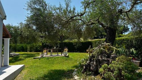 Saoulatika Apartamento | Serenity Studios Arillas Corfu