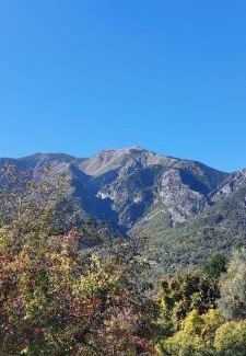 Belvedere Apartamento | Serre 2