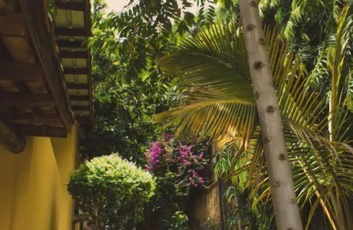 Bujumbura Apartamento | Serviced studio apartment free breakfast & service