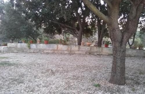 Son Antem Apartamento | Ses Alzines Apartamento integrado en Casa Rural Habitada