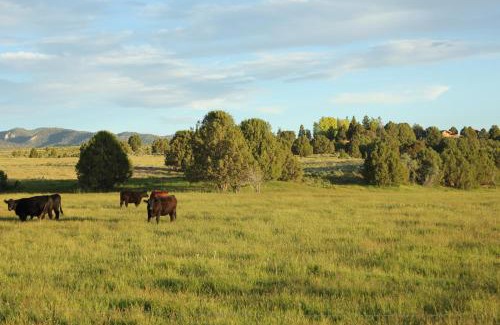Hatch Casa | Sevier River Ranch & Cattle Company