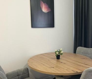 Baia Mare Apartamento | Sfara Residence Apartament 6