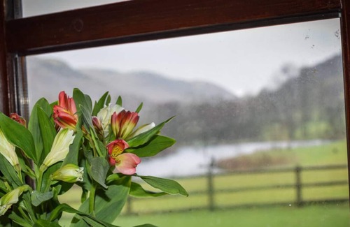 Builth Wells Chalet De Esquí | Sgrech y coed - Jay
