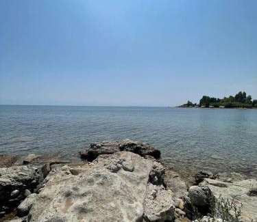 Cholpon-Ata Apartamento | Shaika resort Bibllan apartmens