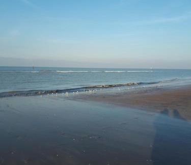 Oostduinkerke-Bad Apartamento | Shamrock Oostduinkerke
