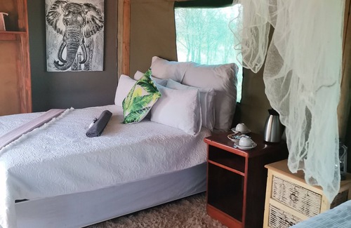 Phalaborwa Otro | Shanatsi Safari Lodge