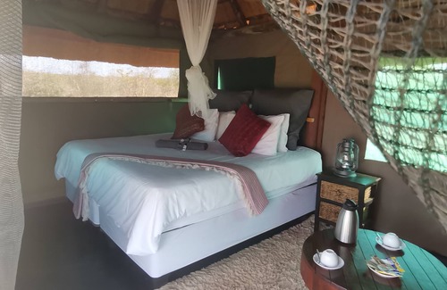 Phalaborwa Otro | Shanatsi Safari Lodge