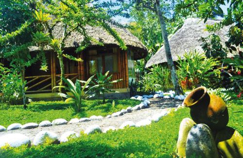 Tena Hotel | Shandia Lodge