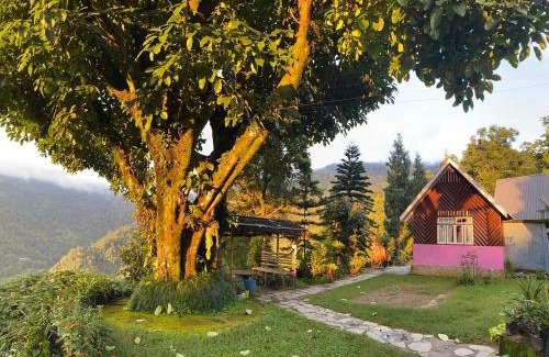 Kalimpong Casa | Shangdhan Pine Homestay