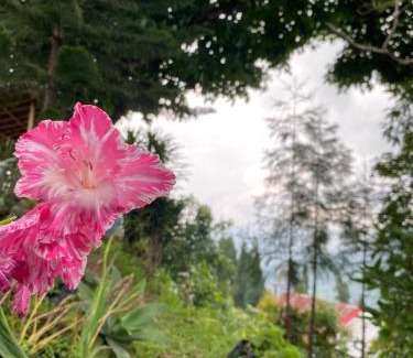 Kalimpong Casa | Shangdhan Pine Homestay