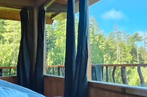 Mohal Cabina | Shantchit Yoga & Wellness Resort Kasol