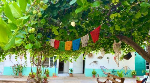 Tamarindos Casa | Shanti shanti