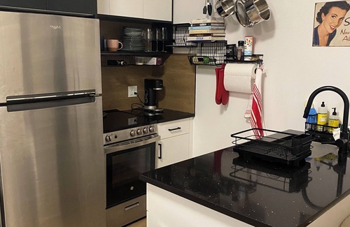 Williamsburg Apartamento | Shared Coastal Designed 2-bedroom apartment with AC, WiFi in Vibrant Brooklyn