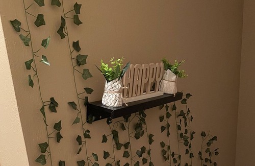 West Arlington Casa | Shared Women only, Comfortable, Beds w/TVs