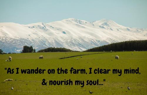 Coal Stream Casa | Shearvue Farmstay with Optional Free Farm Experience at 5pm