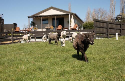 Coal Stream Casa | Shearvue Farmstay with Optional Free Farm Experience at 5pm