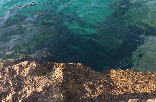 Calanque de Morgiou Casa | Arrojar los pies en el agua vista al mar cala de niolon