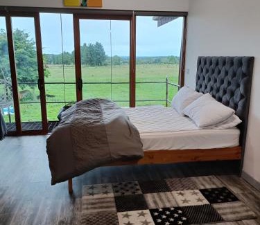 Jamestown Casa | Shed Loft apartment