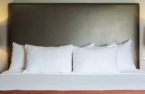 Koreatown Hotel | Shelter Hotel Los Angeles