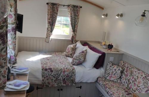Enniskillen Casa | Shepherd Hut Enniskillen Blossom, Fermanagh