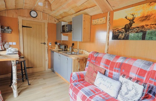 Llandovery Cabaña | Shepherd's Cwtch