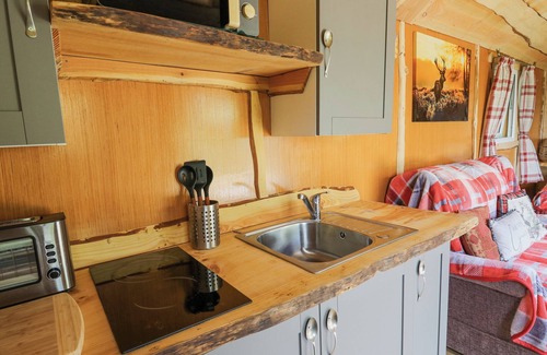Llandovery Cabaña | Shepherd's Cwtch