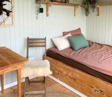 Vester Skerninge Casa | Shepherd's Hut With Lake View In Ollerup