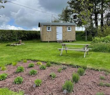 Gwynfe Otro | Shepherds Hut - Brecon Beacons