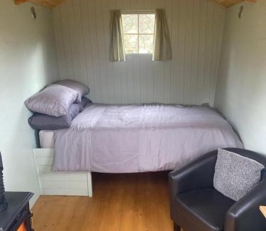 Gellilydan Otro | Shepherds hut on alpaca farm