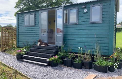 Llanfairpwllgwyngyll Casa | Shepherds Hut with Hot Tub North Wales Anglesey
