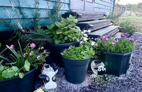 Llanfairpwllgwyngyll Casa | Shepherds Hut with Hot Tub North Wales Anglesey