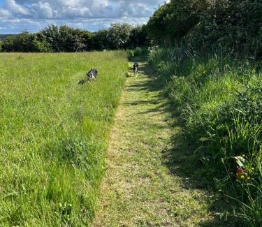 Durham Otro | Shepherds hut in 7 acre field