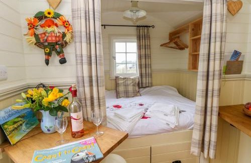 Milford Haven Casa | Shepherds Hut - The Hurdle
