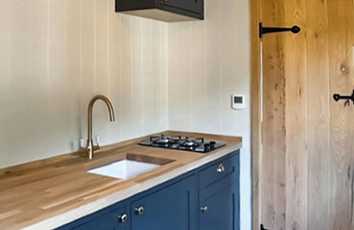 Tilney Fen End Cabaña | Shepherds Hut - UK49729