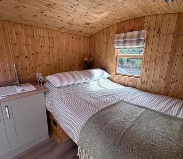 Milford Haven Casa | Shepherds Hut with Hot Tub