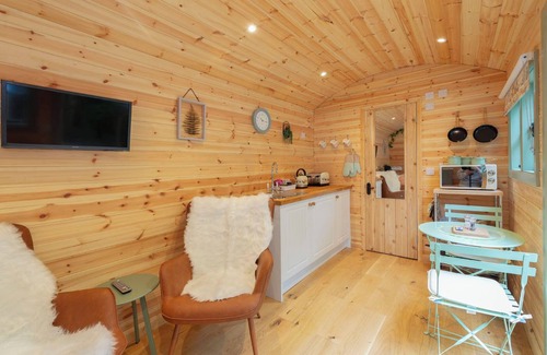 Maidstone Cabina | Shepherds Hut With Hot Tub. Pet-friendly. Own Private Garden Area
